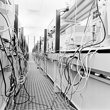 copyright &copy;2002 David Glenn Rinehart | all rights reserved