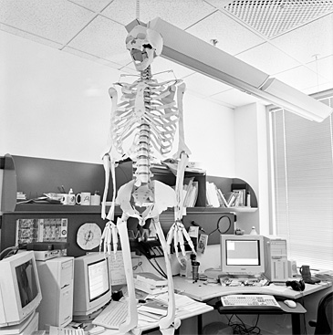 copyright &copy;2002 David Glenn Rinehart | all rights reserved